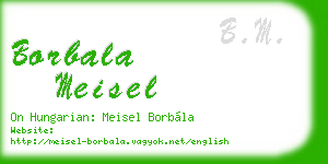 borbala meisel business card